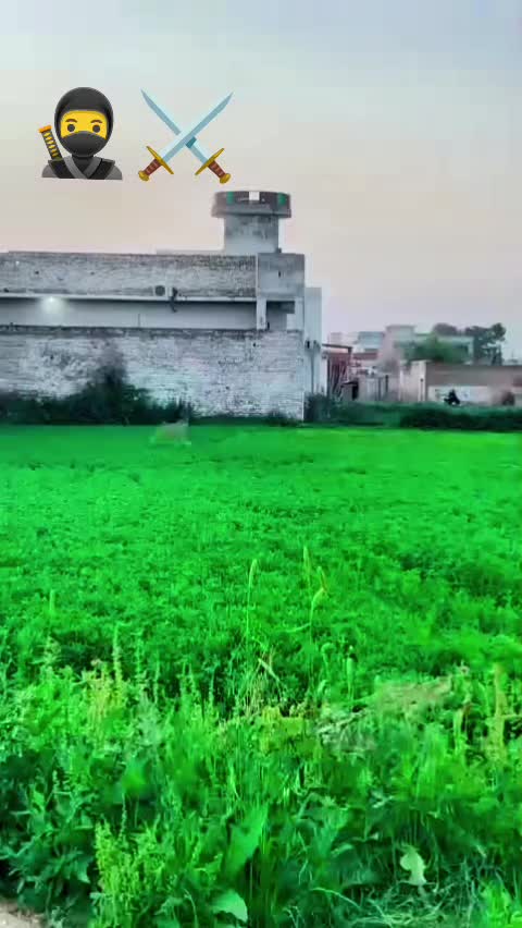 @Muhsin___888