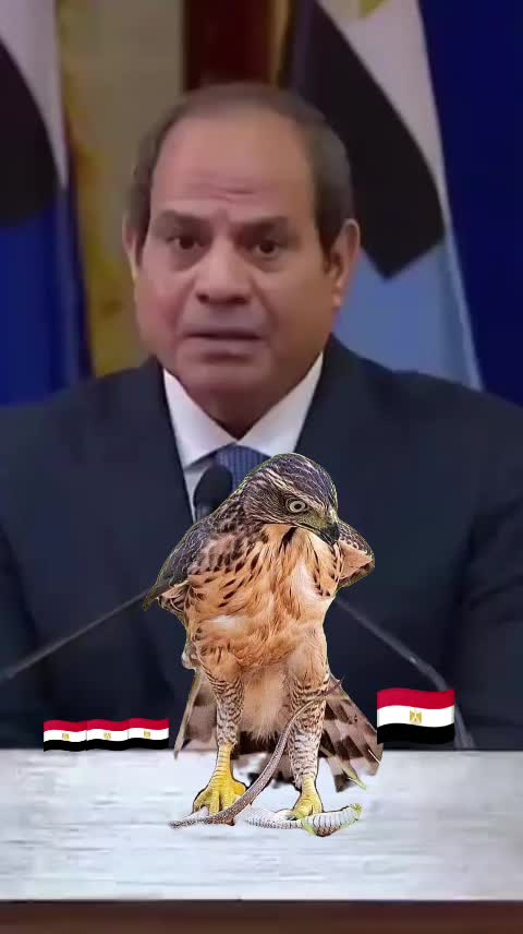 @الاستشاري ابراهيم محمد سلامة