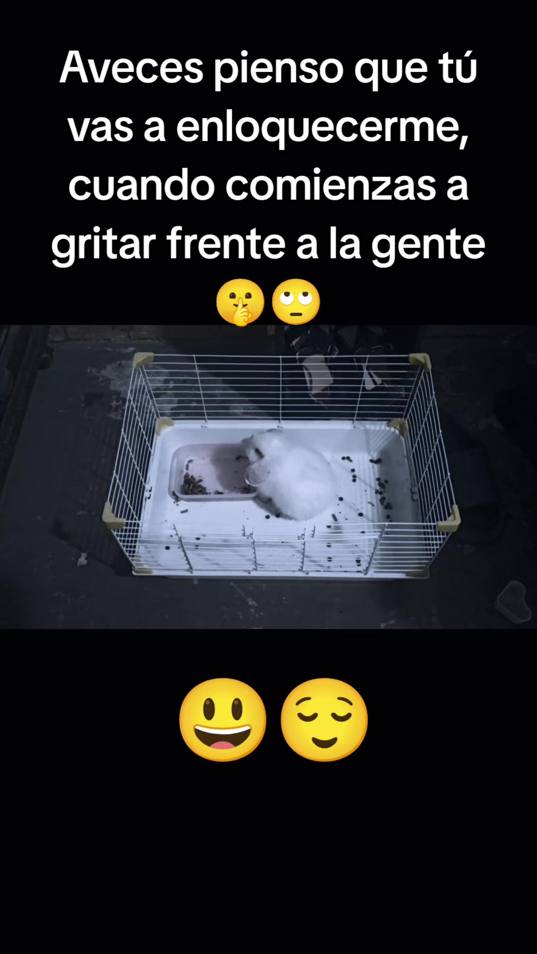 @bibi27853hdz