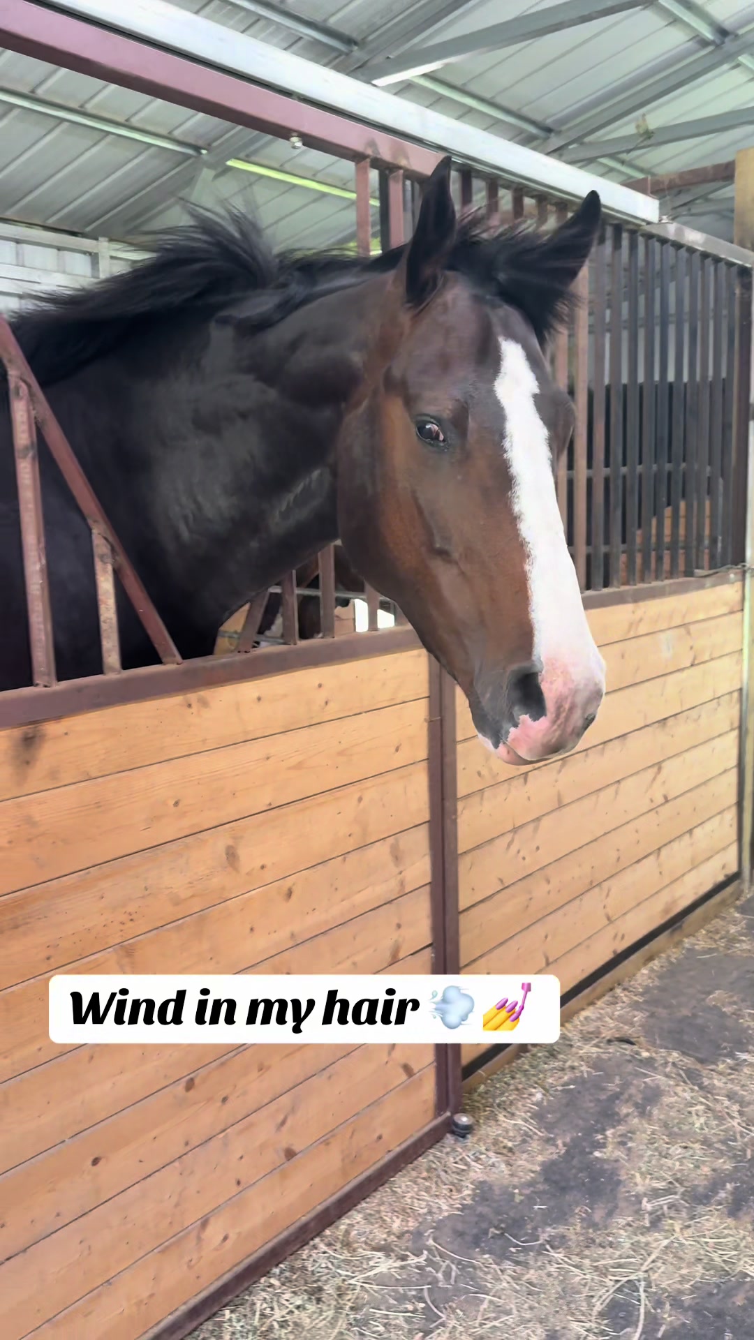 @Winston James The Clydesdale