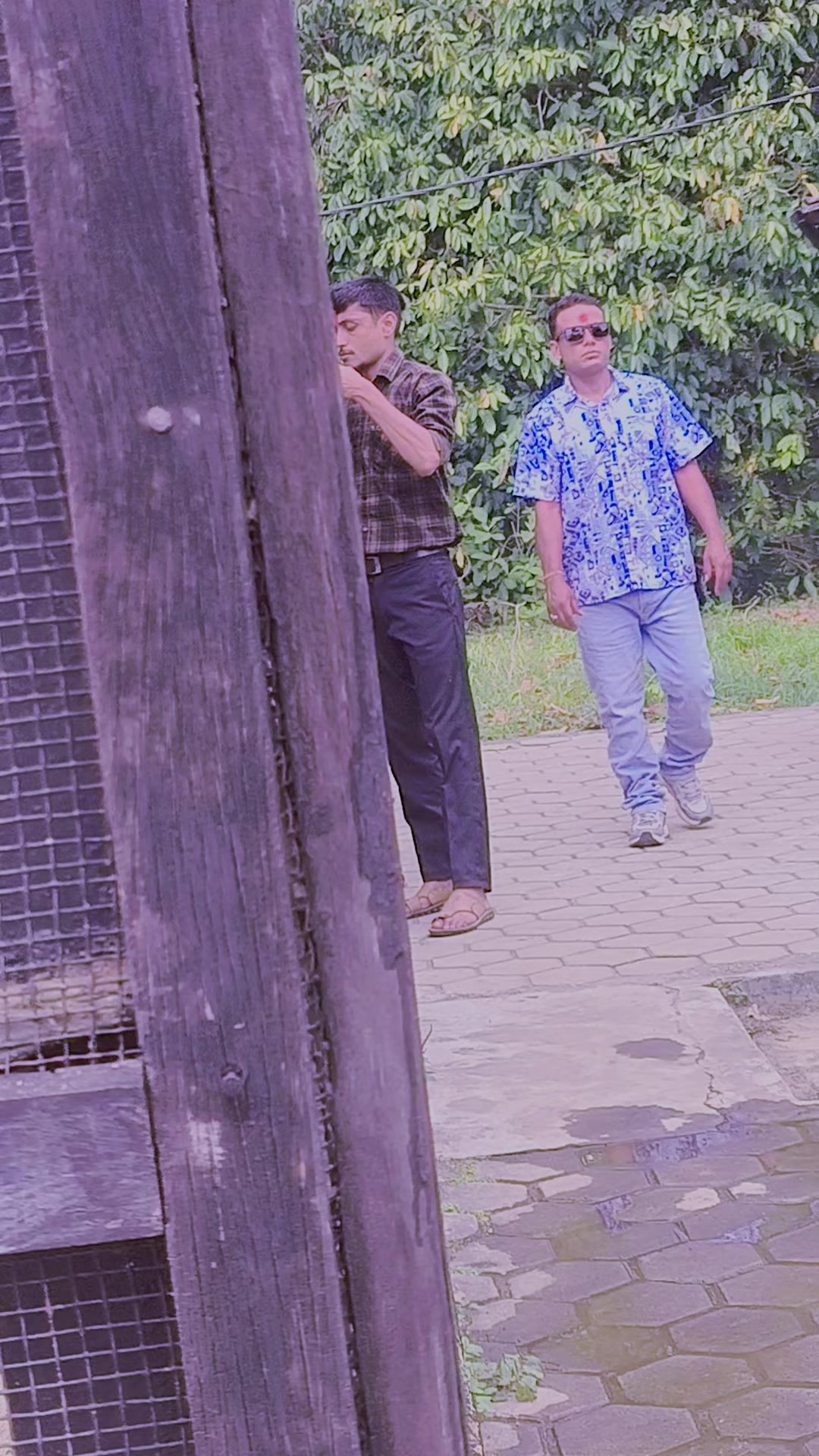 @shaurav87