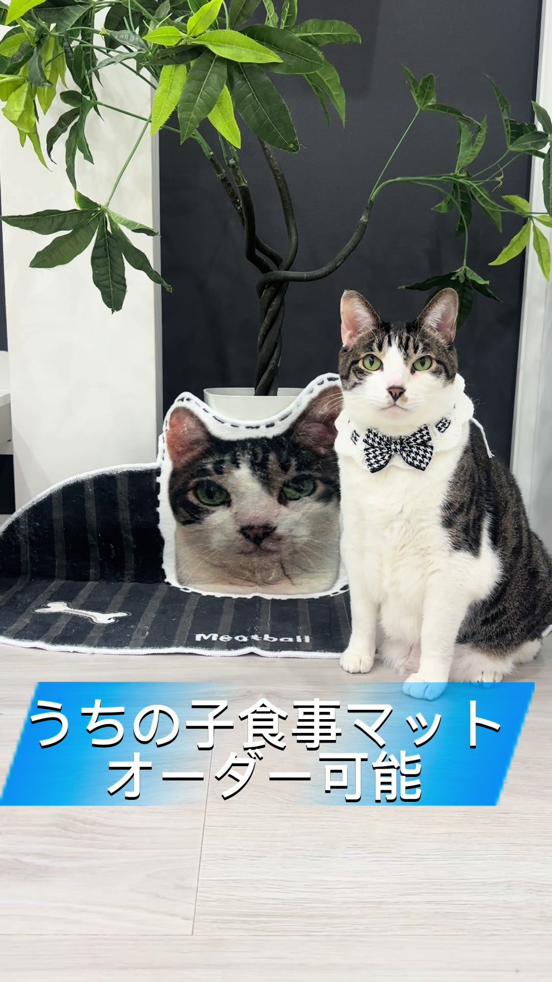 @ãºãå
çððïž