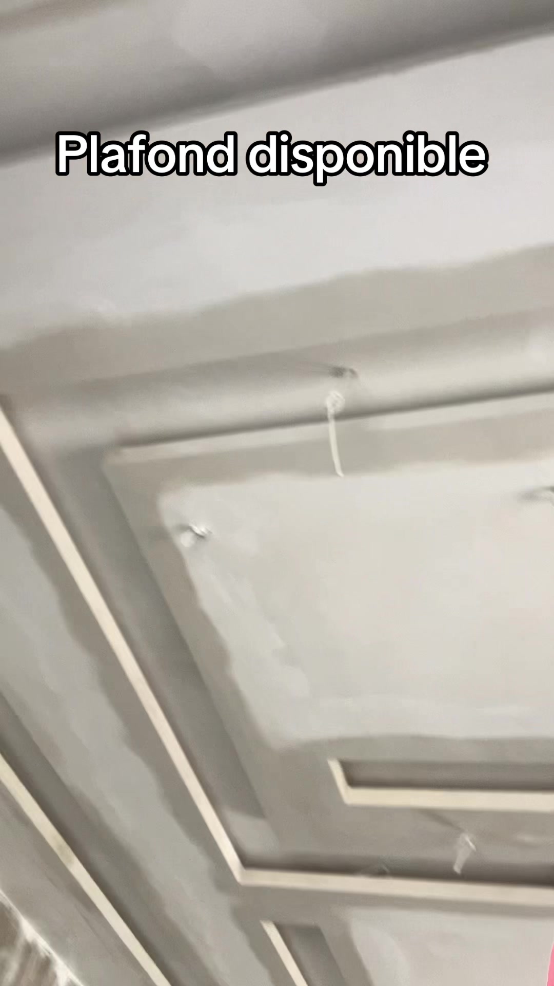 @Plafond 241✪🦺