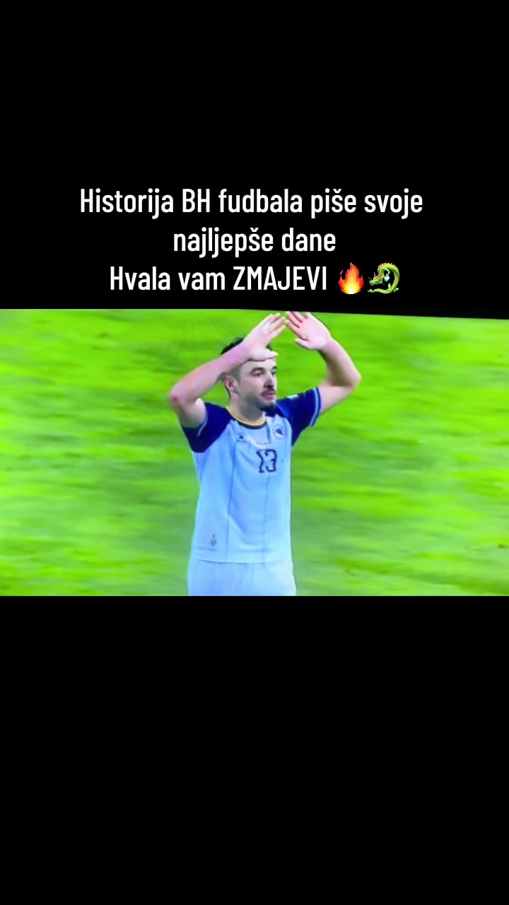 @bosnia.ai