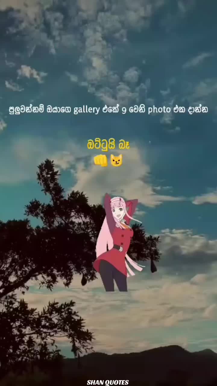 @shaneditz31
