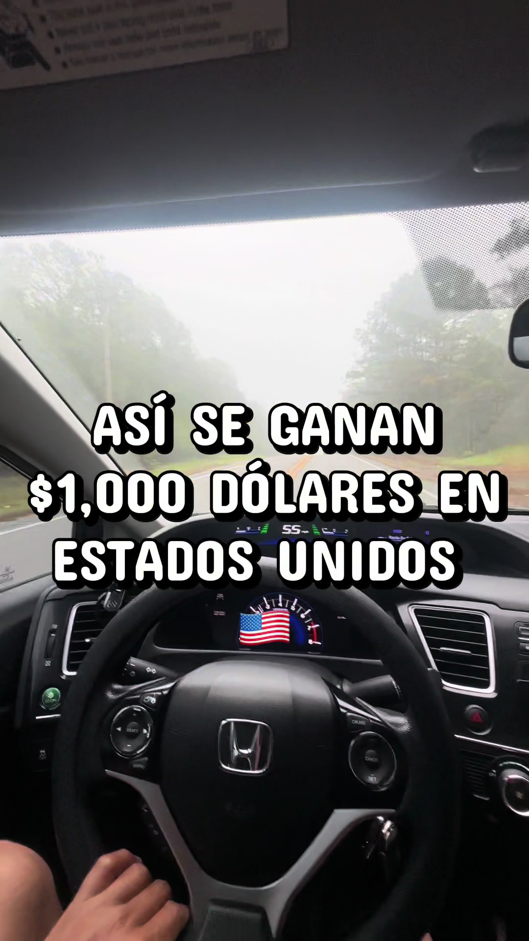 @T E O
