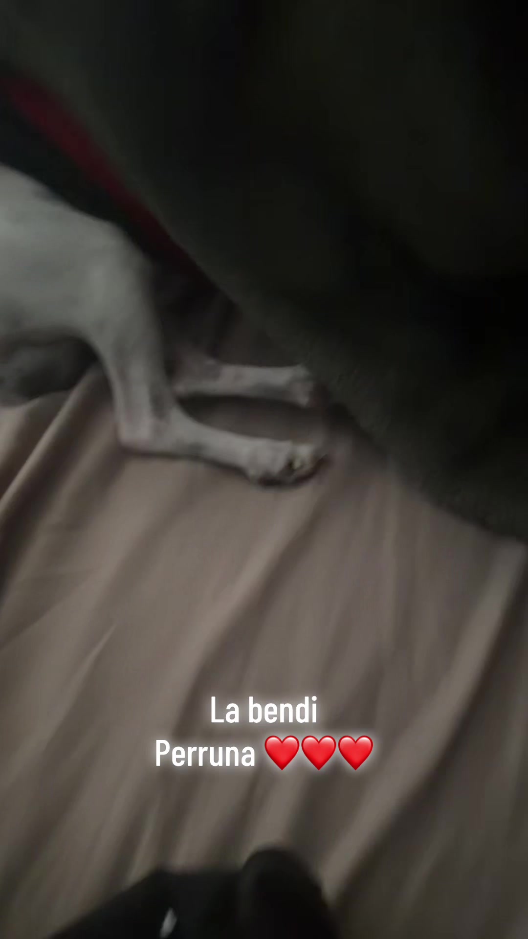 @L.N Ana Lau