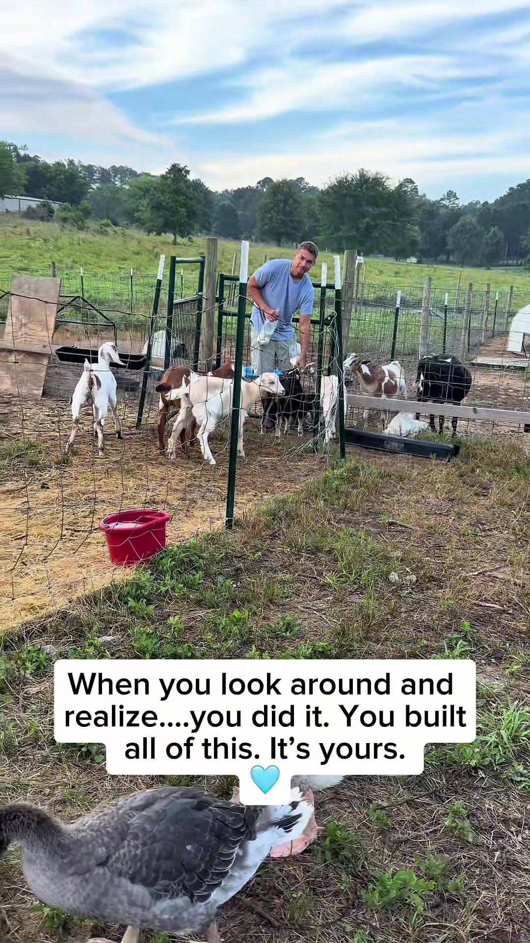 @Heart & Hoof Homestead