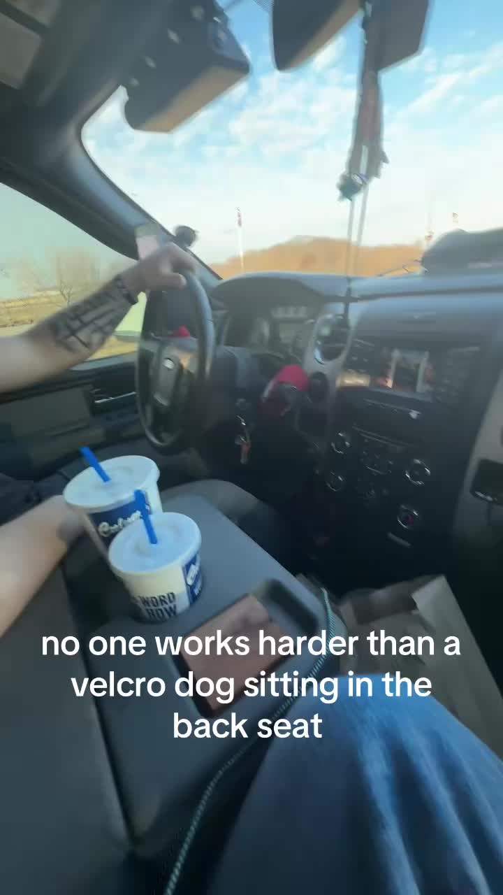 @ali