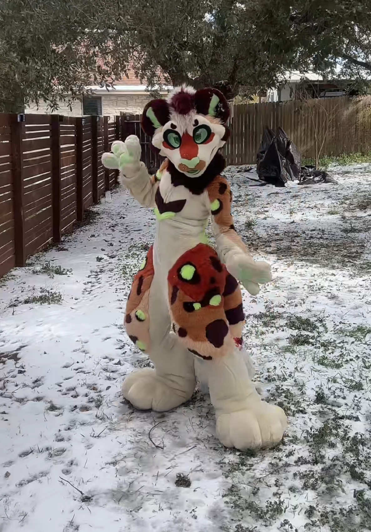 @Peckish.Paws