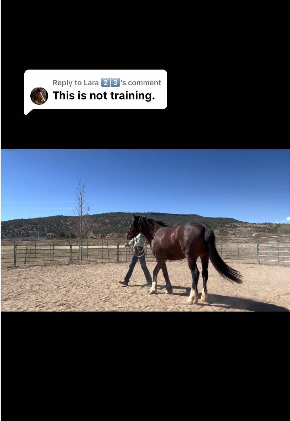 @cowgirlcommentary