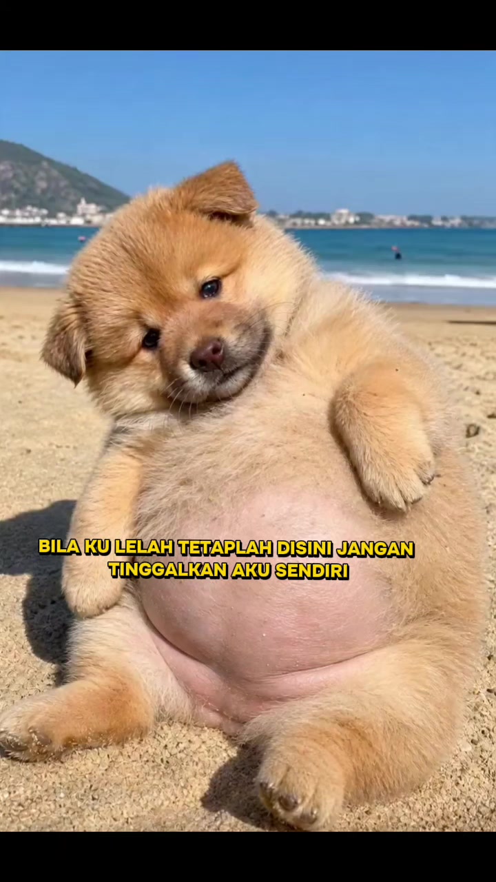 @ita Du