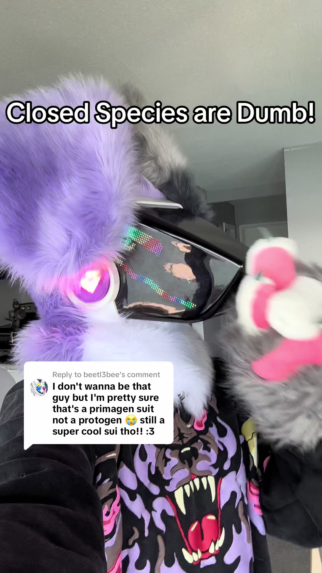 @SnowZard 🔜 FWA