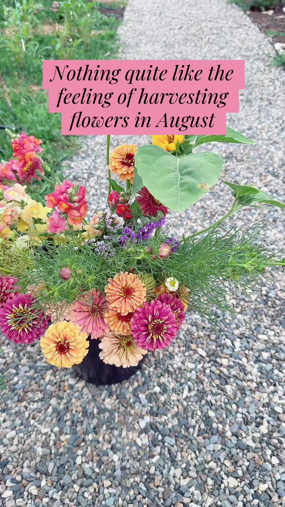 @Liv Floral