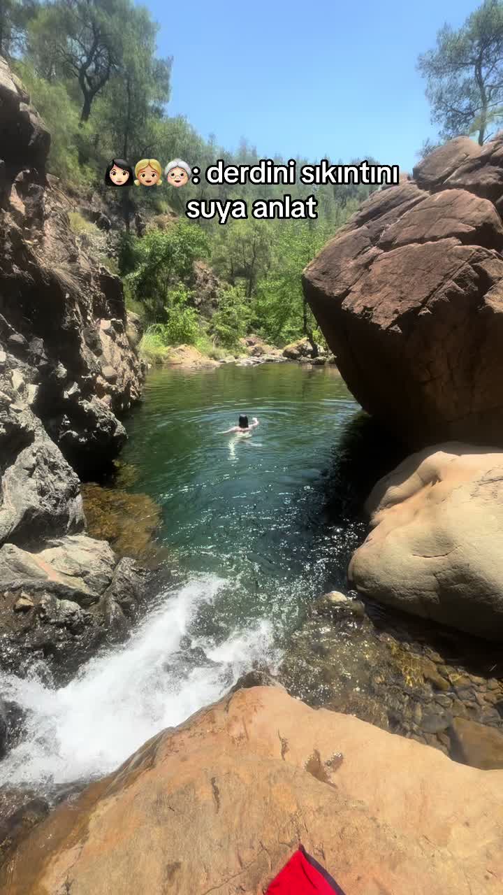 @dilara