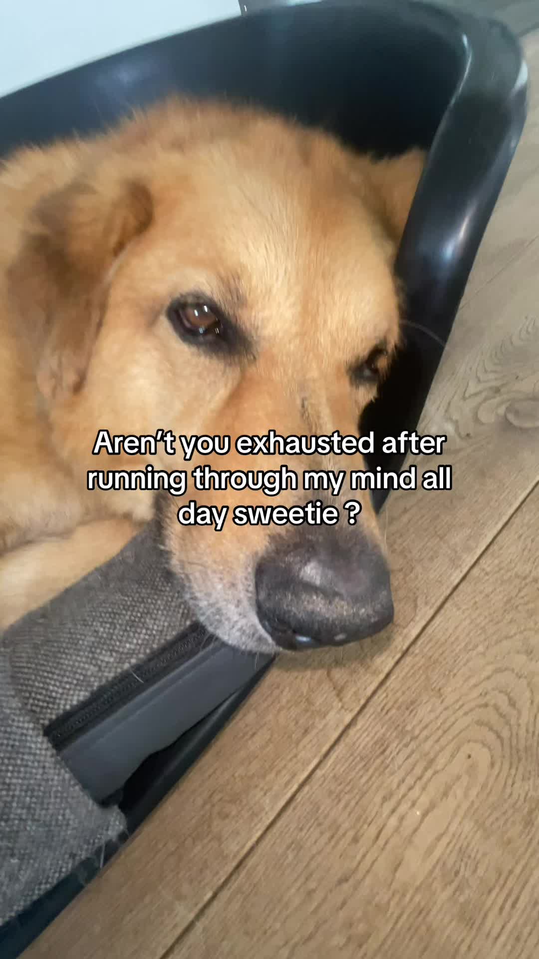 @Neo
