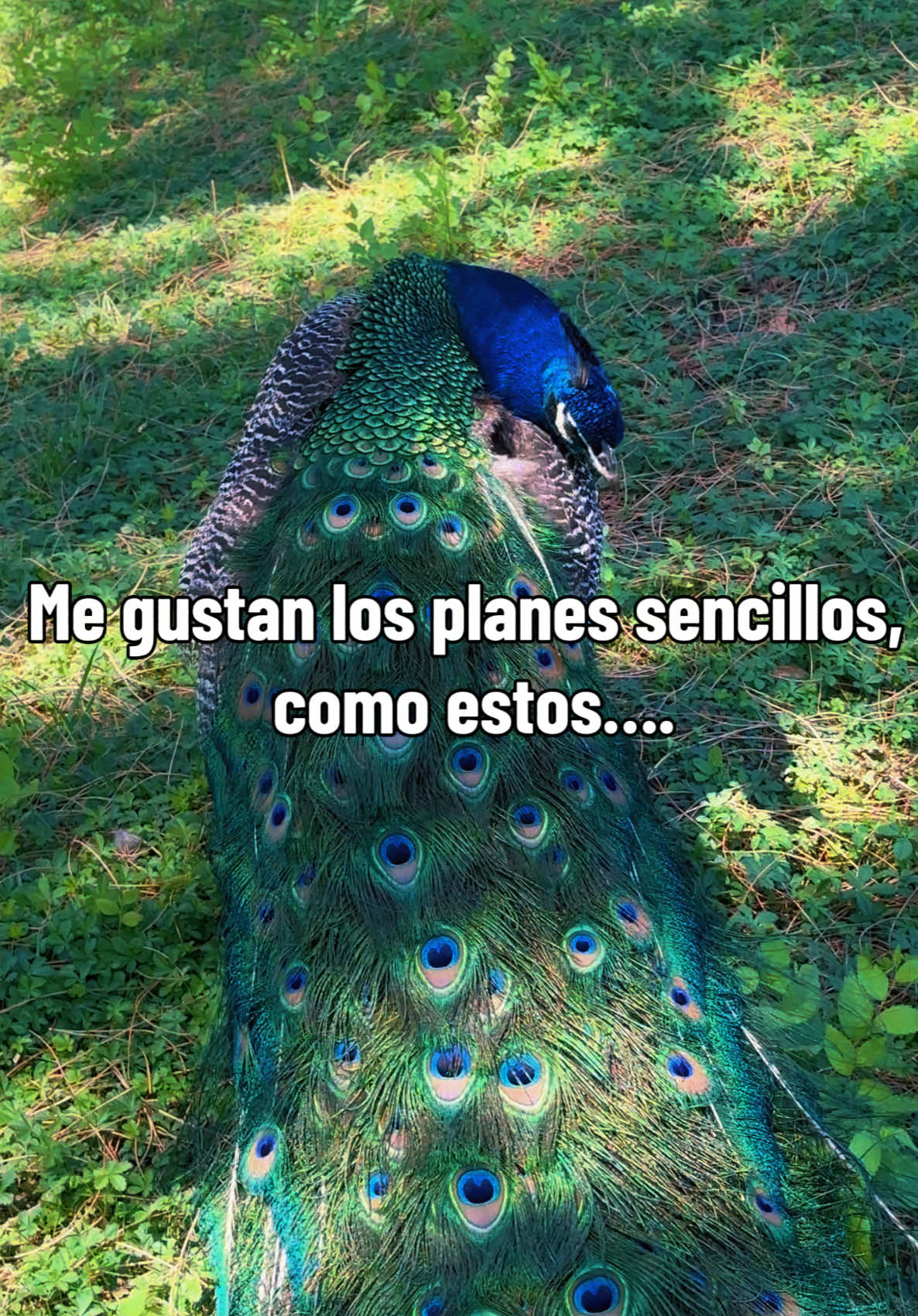 @Ony Velazco