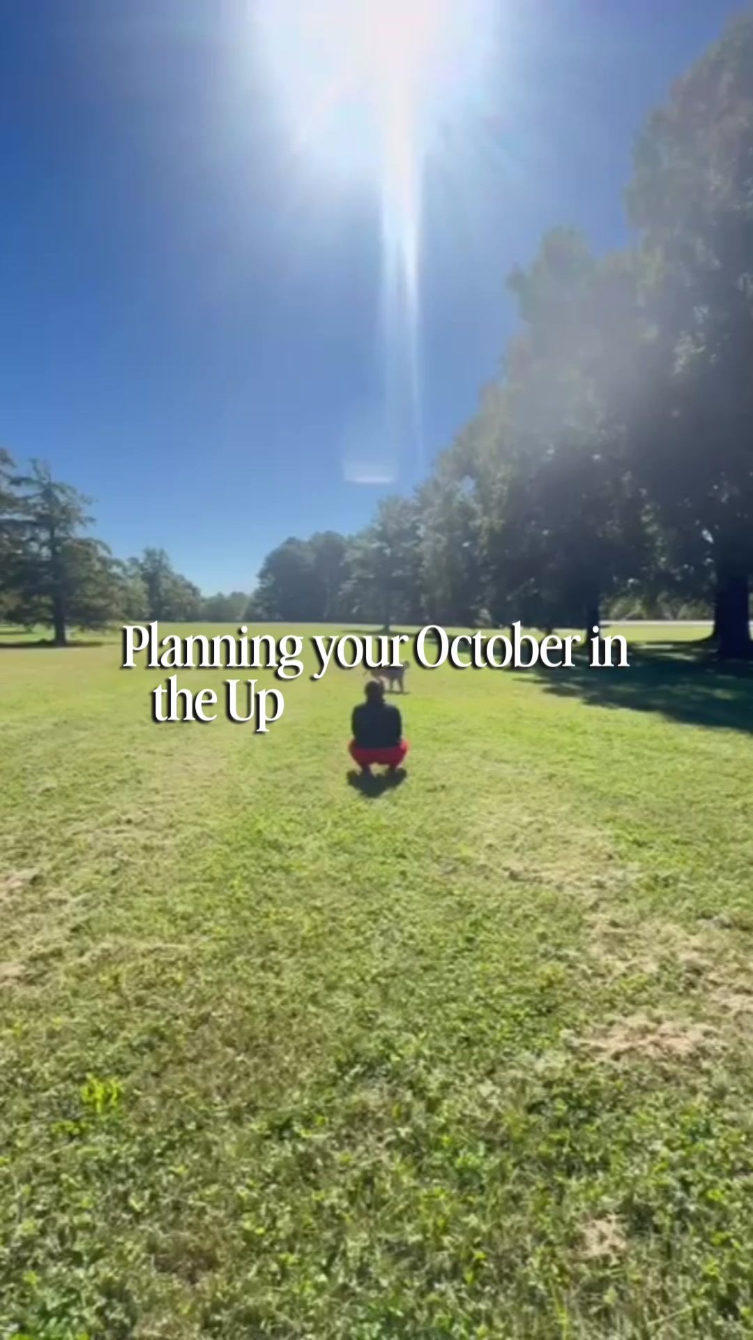 @Dominique Lewis| SC Realtor