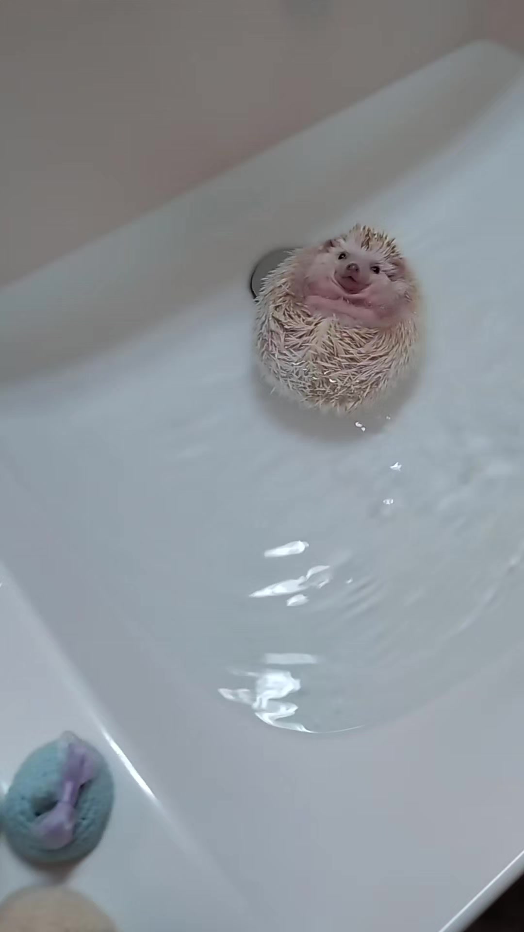 @ðŠãã«ããðŠ