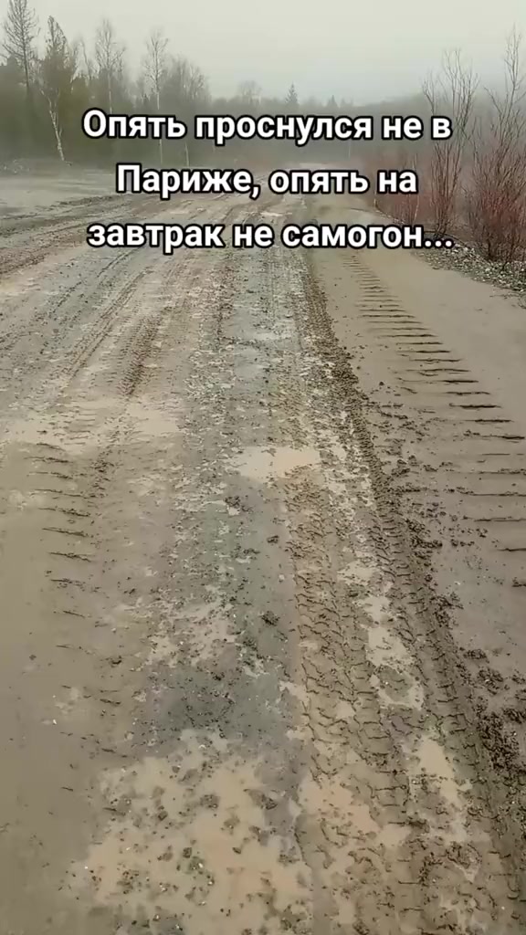 @Мой котик