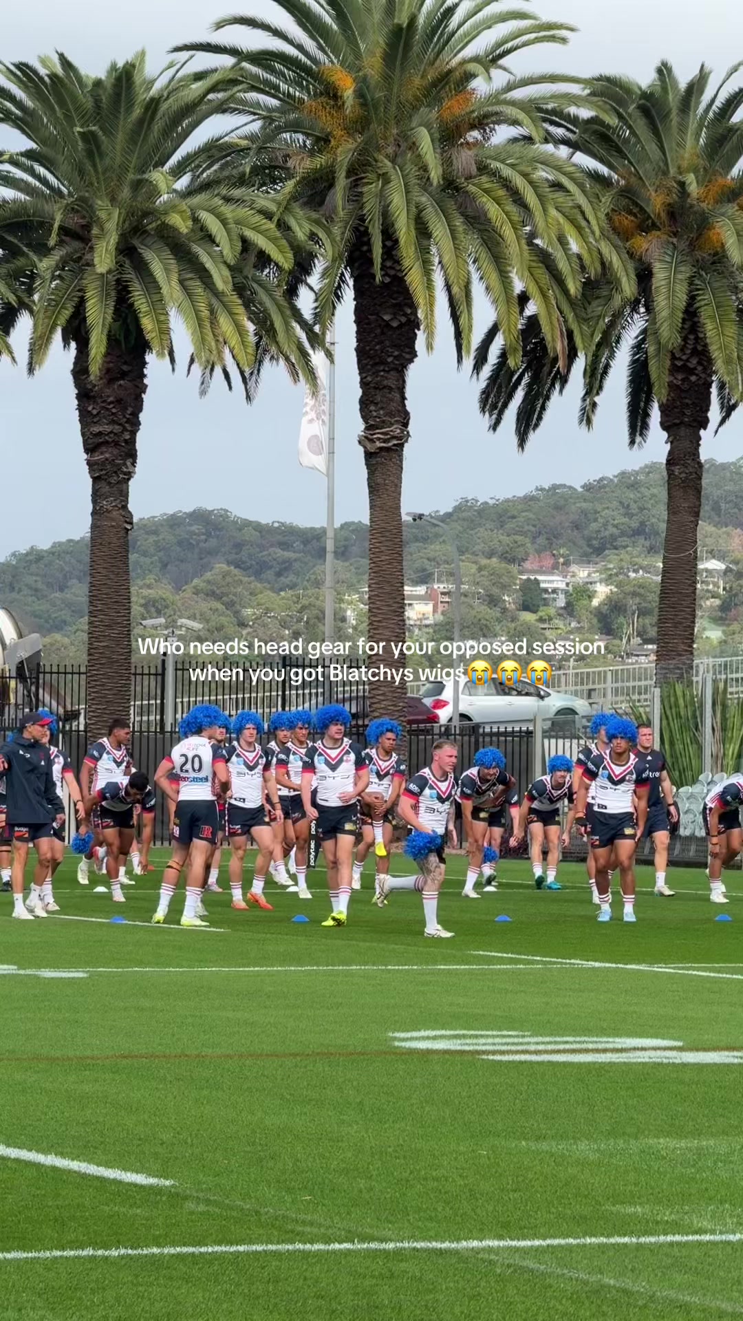 @NSW Blues