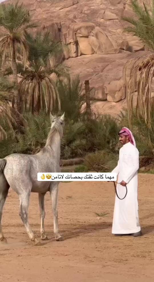 @سلطان بن عراكـ🌟