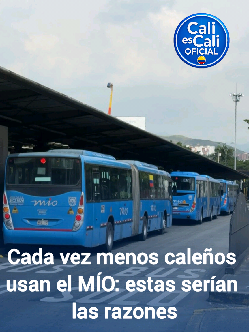 @Cali es Cali OFICIAL