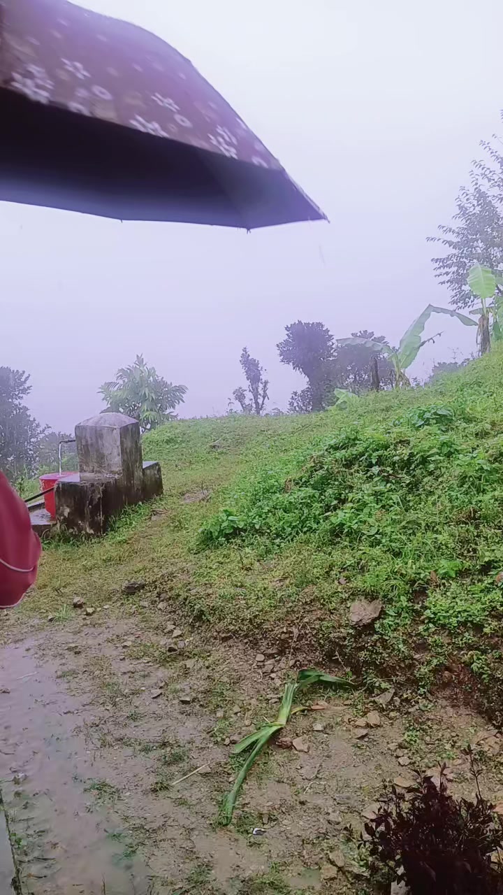 @Tulsi Oli