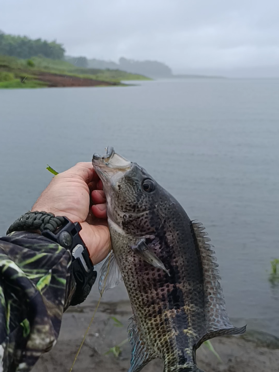 @SunnyFishingCR