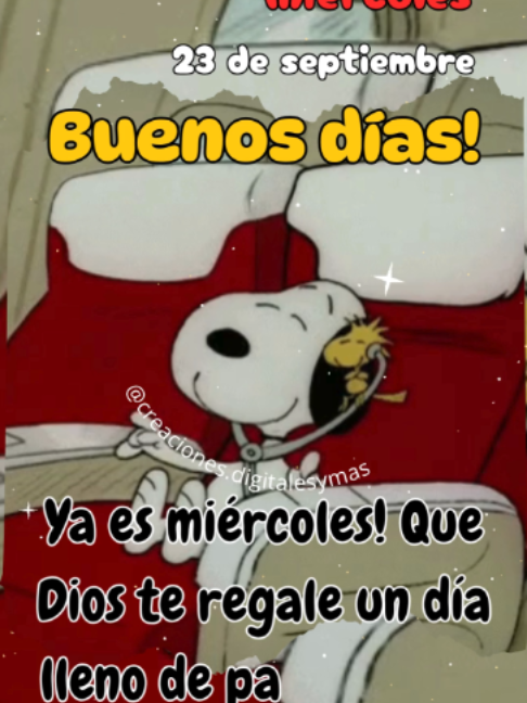 @adachajon.gt