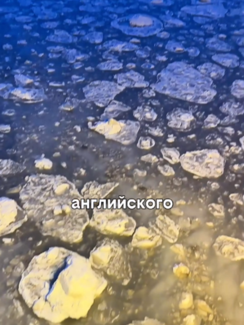 @Краболов Матковский Алексей