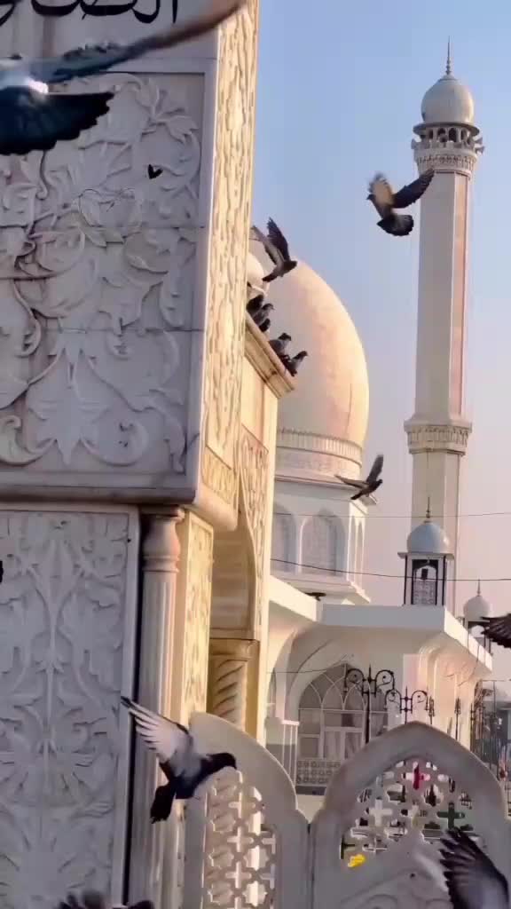 @masoom larki