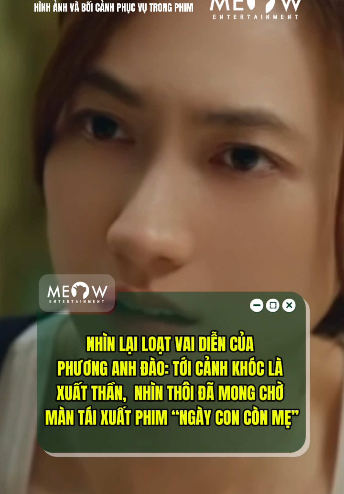 @MEOW ENTERTAINMENT