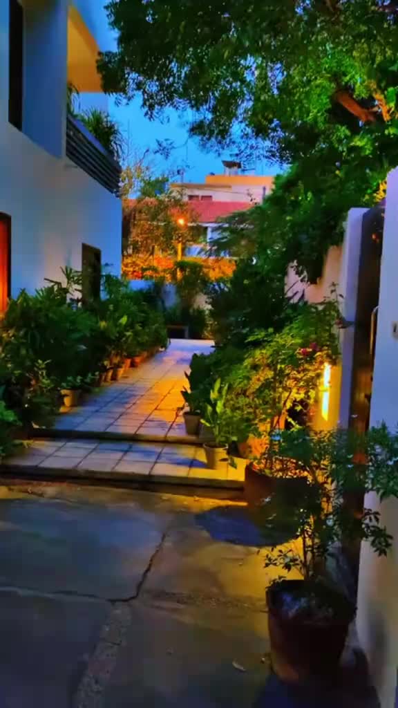 @💸سید حیدر بخاری 💸
