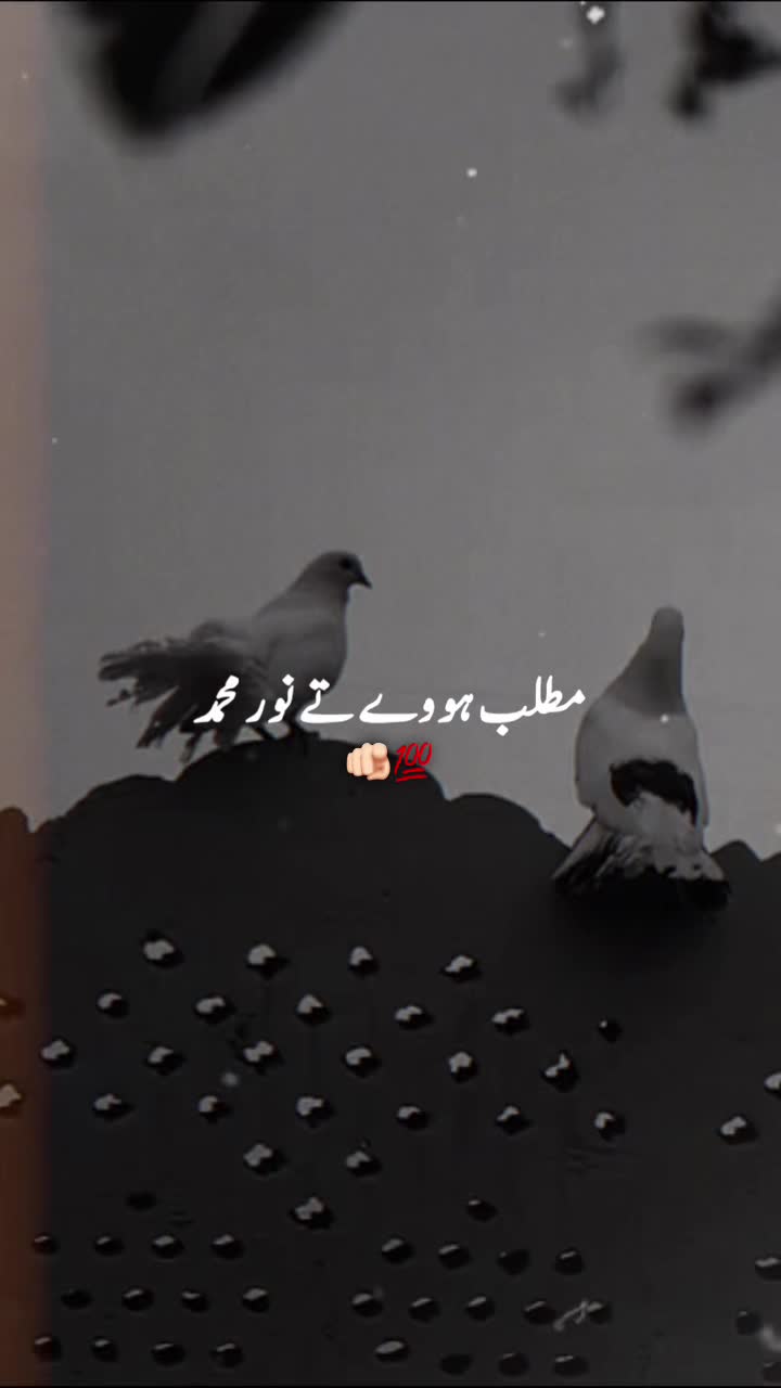 @پنڈا والے  راجپوت☘️☘️ظفر وال🤗