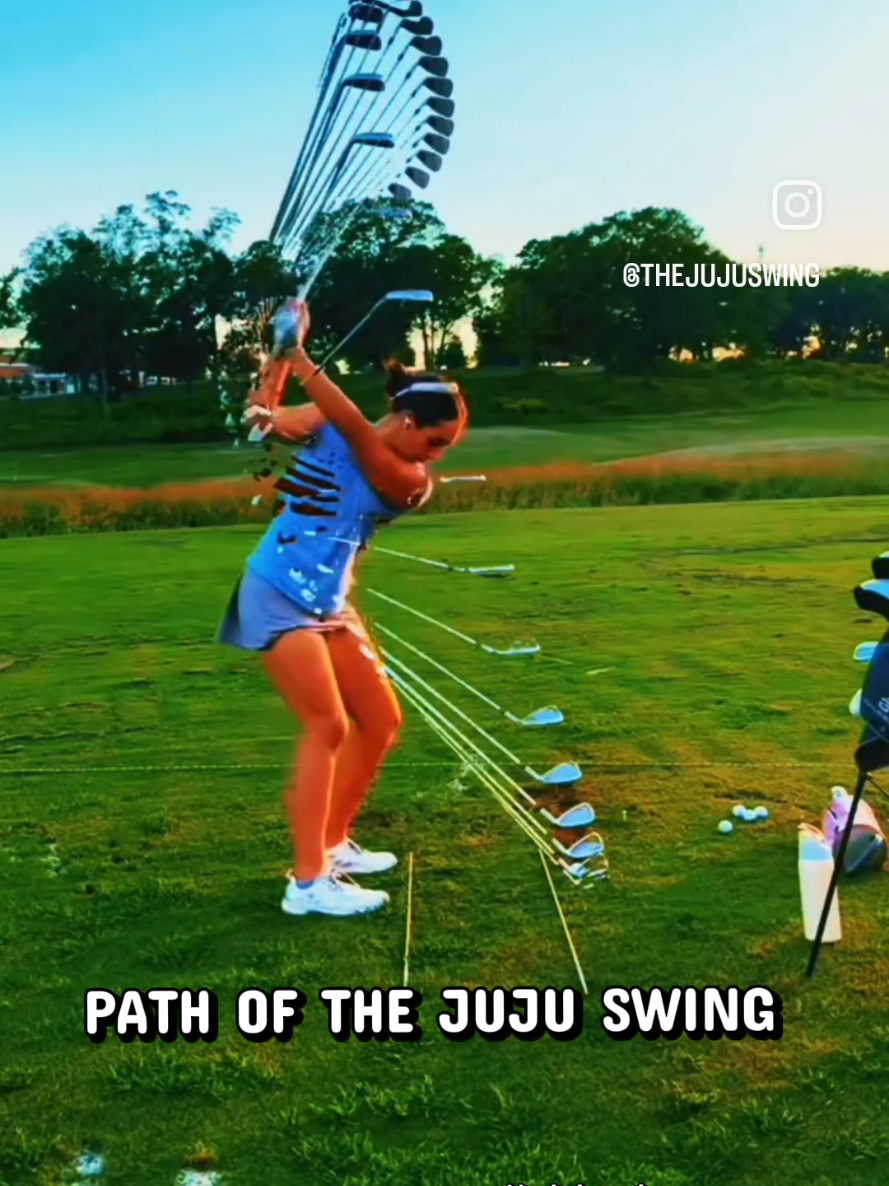 @The Juju Swing®