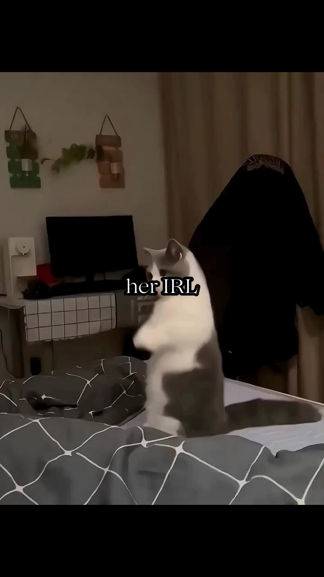 @BabaBear