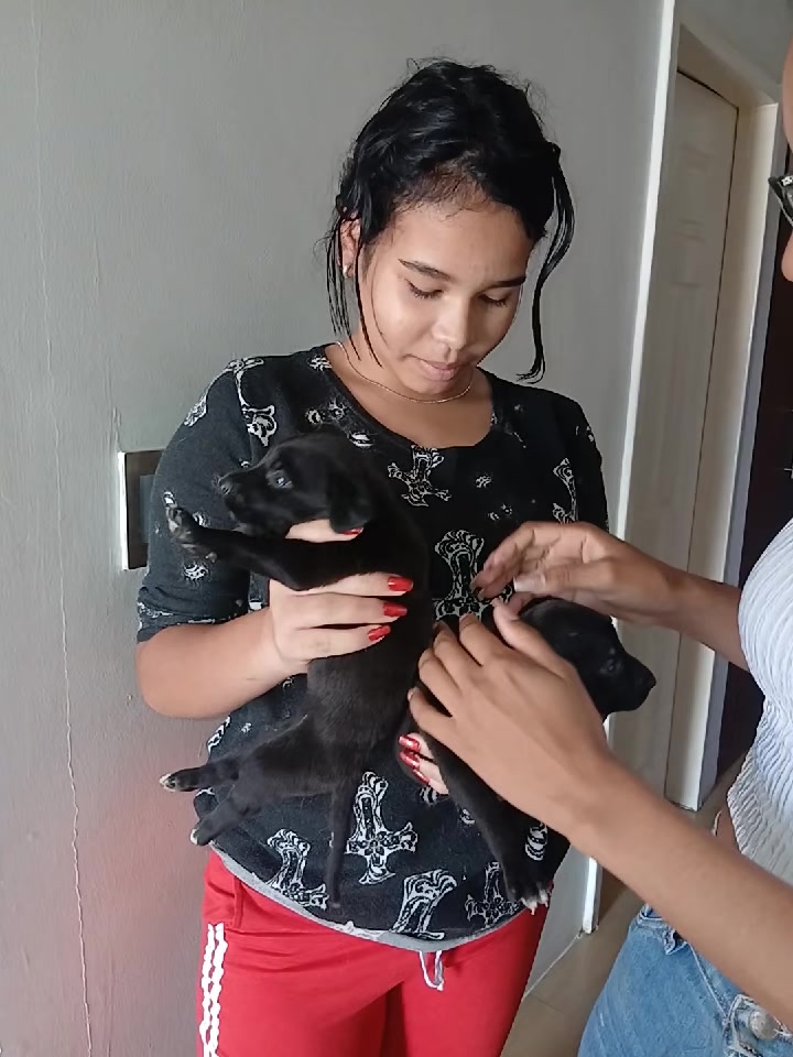 @MIRLHEN LA REINA OFICIAL 1 👑