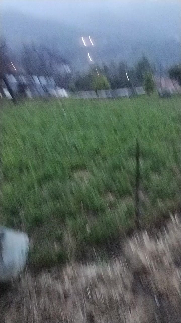 @Güler Kaya