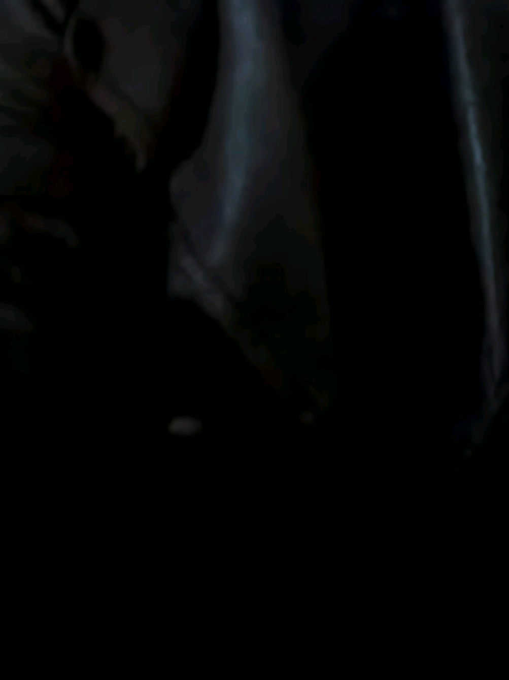 @𝐑𝐞𝐧𝐳𝐨.