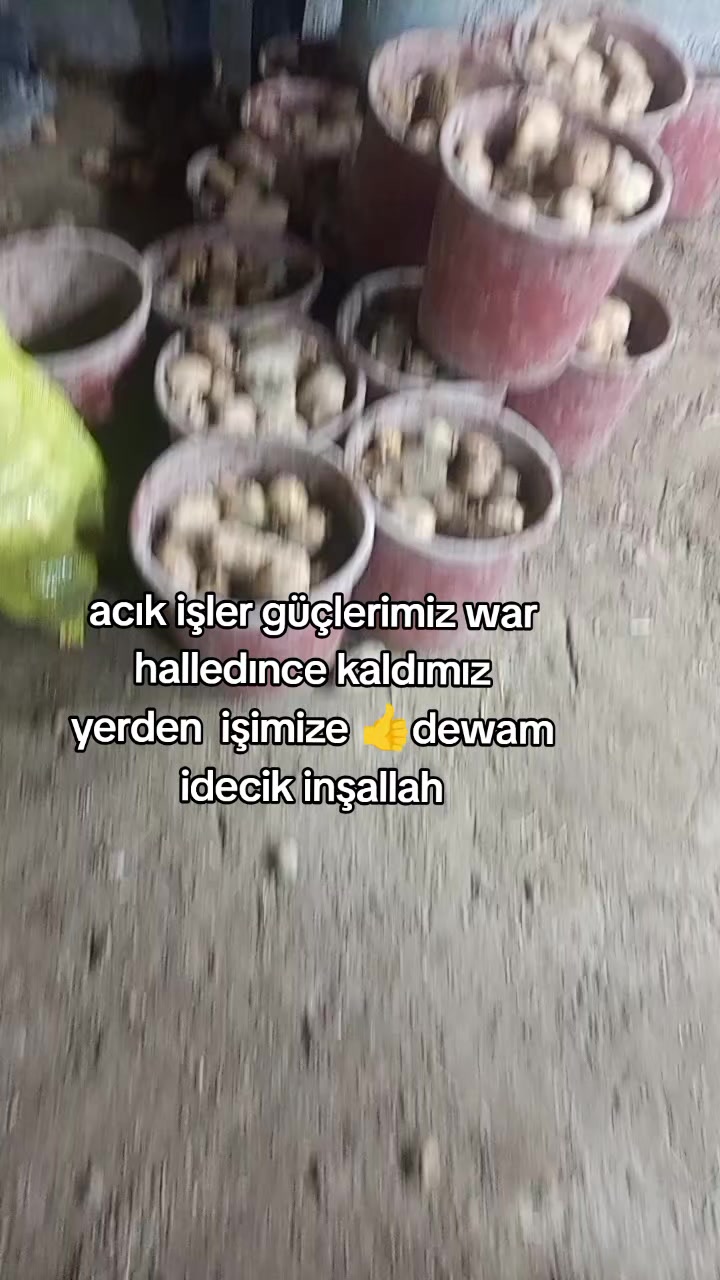 @MELOCAN