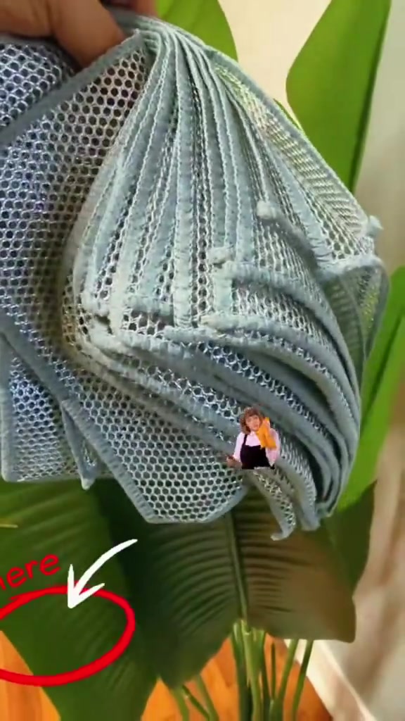 @Sigua TikTok