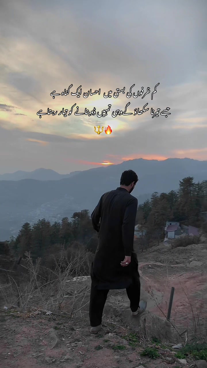 @Tanoli_⚜️