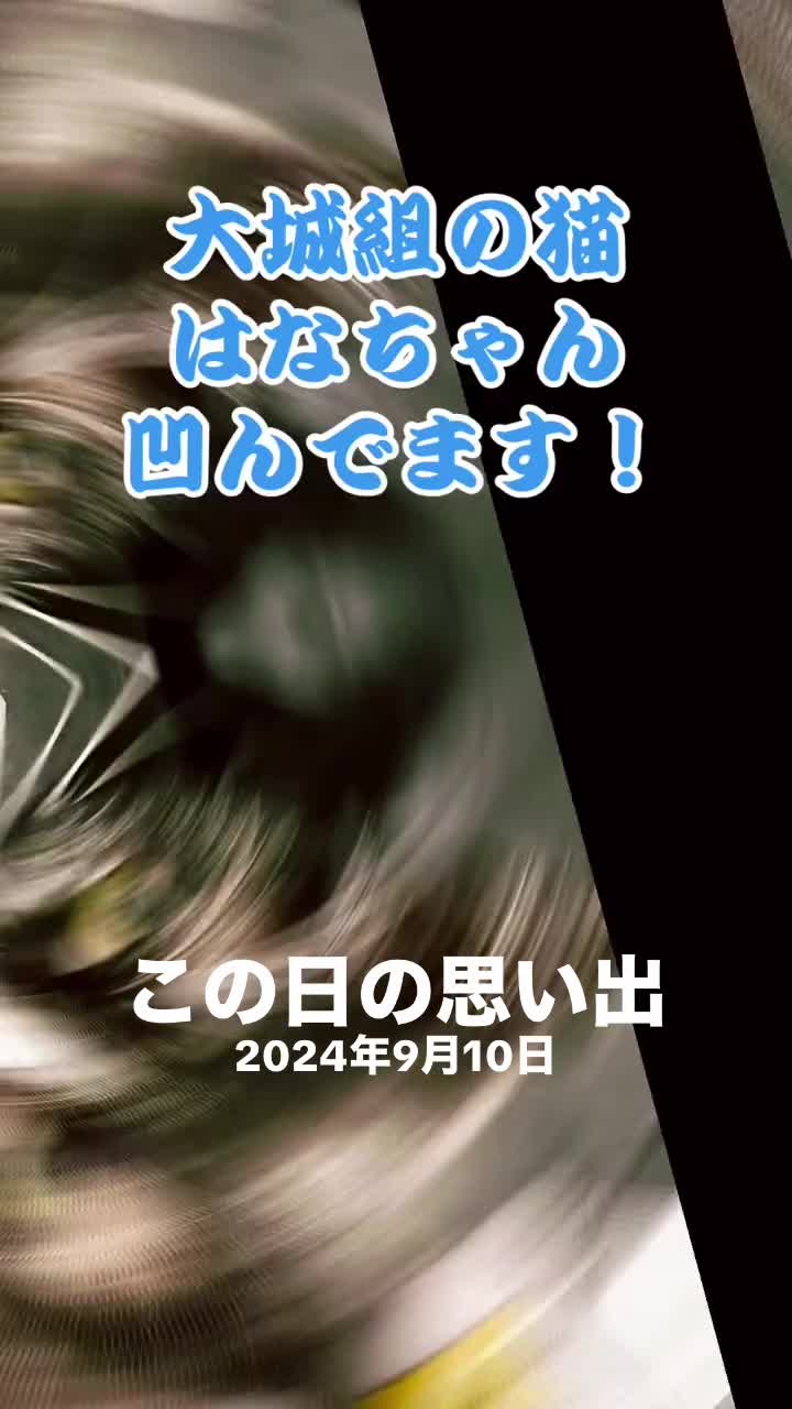 @大城組　解体屋