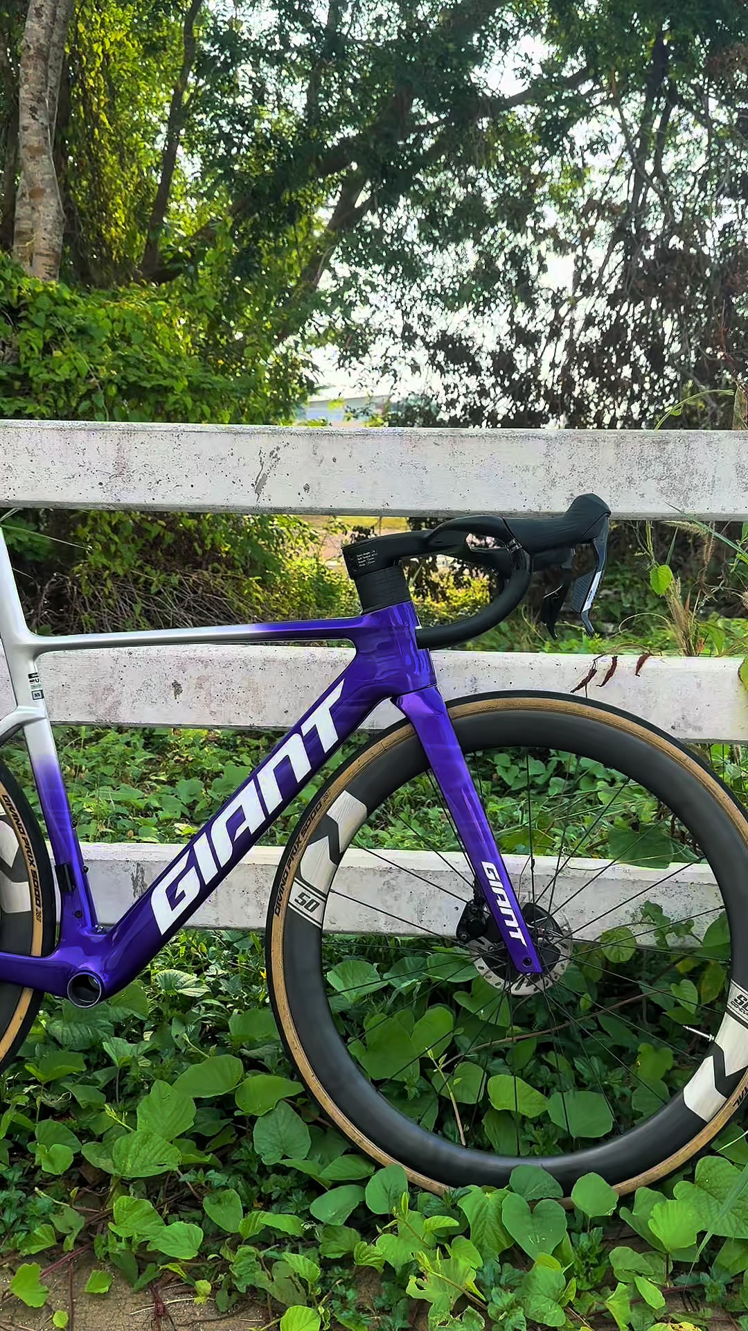 @Peace Zienbike