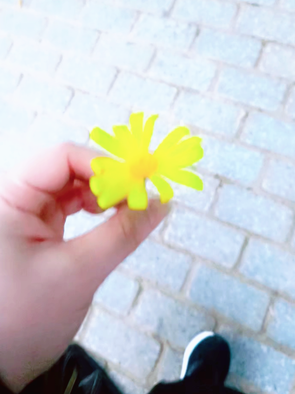@☆𝑵𝒆𝒔𝒓𝒊𝒏𝒆☆