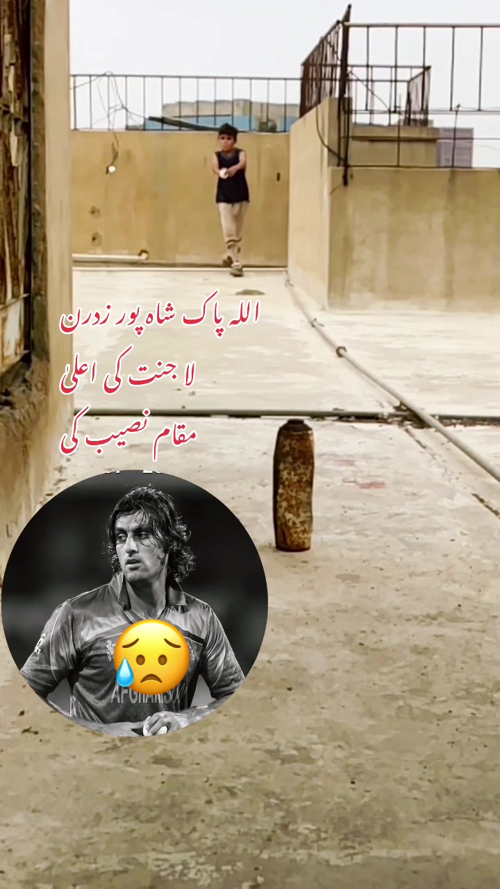 @M ibrahim 786