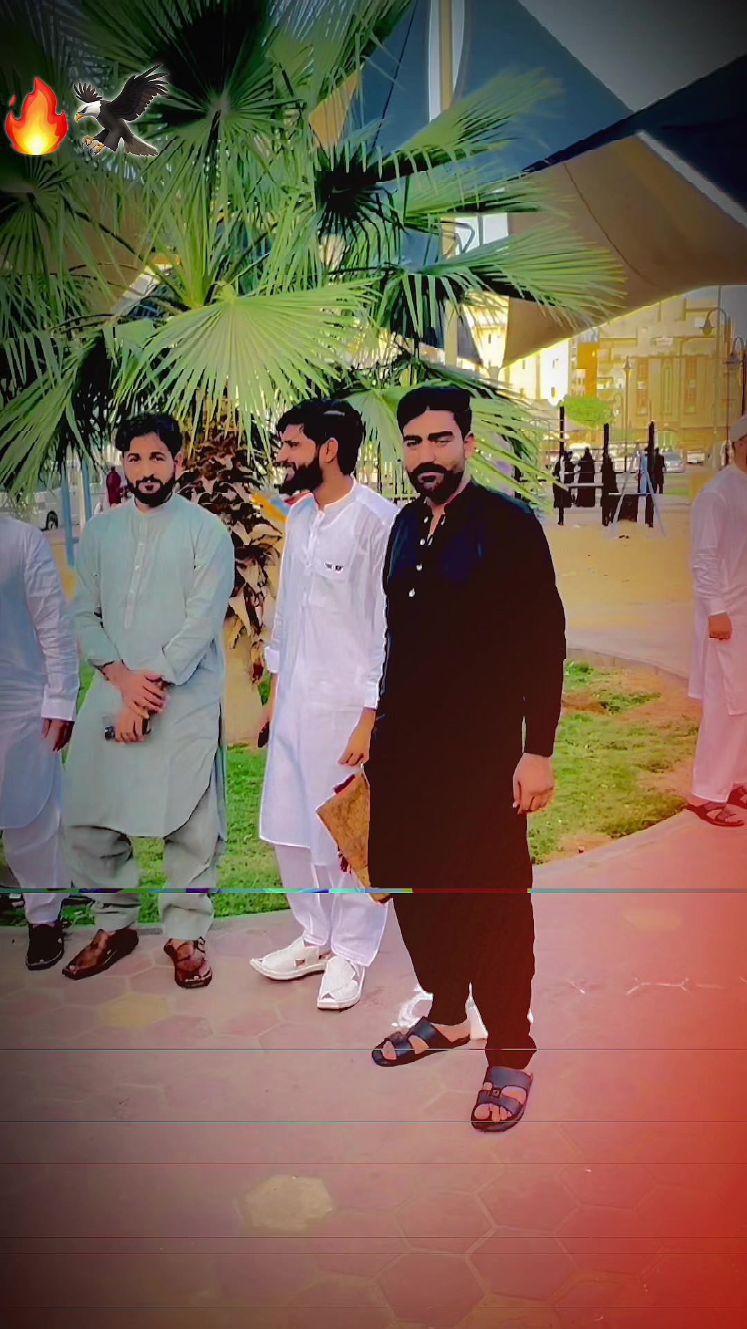 @چوھدری زین ہرل 222گروپ