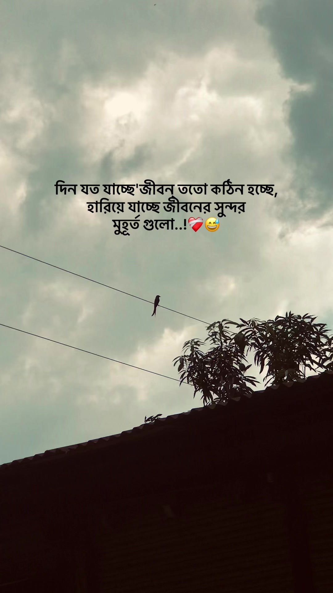 @the_spydoo🕸️ 🥏