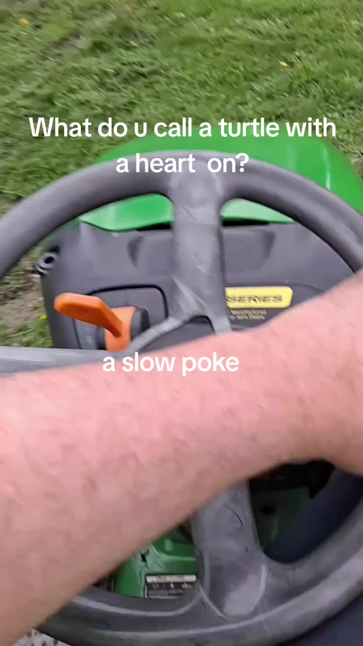 @throttle donkey